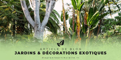 Les jardins exotiques et les décos tropicales, une tendance durable
