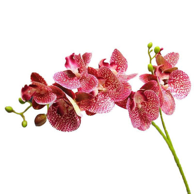 Cette image montre une tige d'orchidée artificielle haut de gamme de couleur pourpre