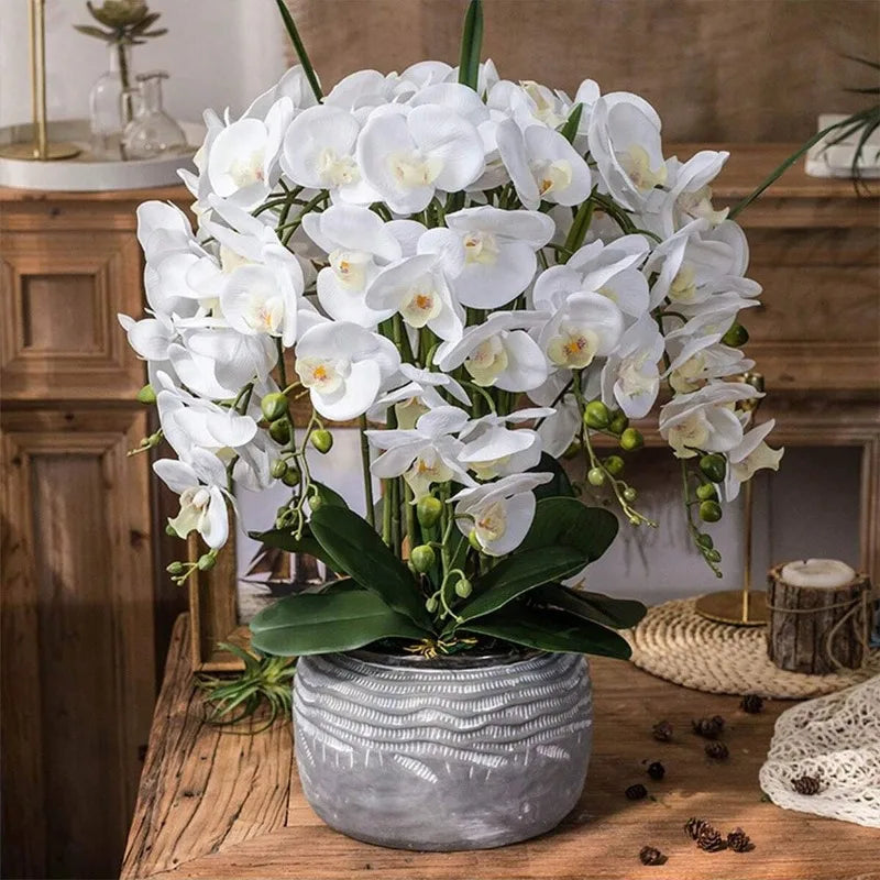 Orchidée artificielle blanche haut de gamme 67 cm