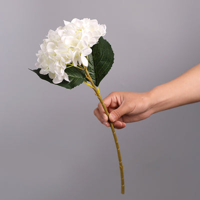 hortensia artificielle blanc
