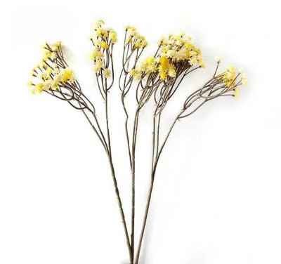Cette image montre une fleur artificielle jaune. Fleur artificielle extérieur.