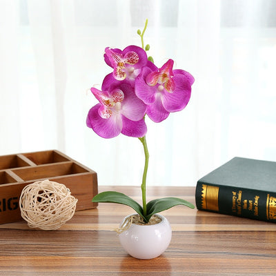Orchidée Artificielle Phalaenopsis Pot