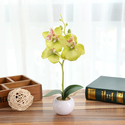 Orchidée Artificielle pour décoration