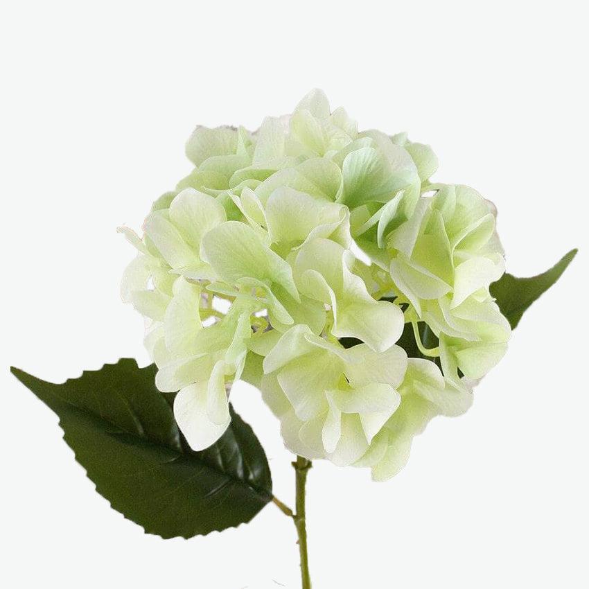 Cette image montre une fleur d'hortensia artificiel vert. Cette hortensia est une fleur artificielle pour cimetière