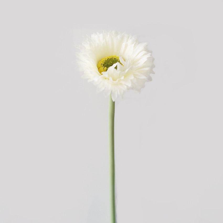 Cette image montre une marguerite artificielle blanche. Cette fleur artificielle est pour extérieur