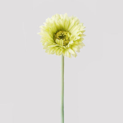 Cette image montre une marguerite artificielle verte. Cette fleur artificielle est pour extérieur