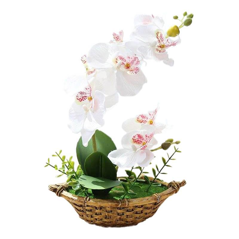 Cette image montre une orchidée artificielle blanche dans un pot.