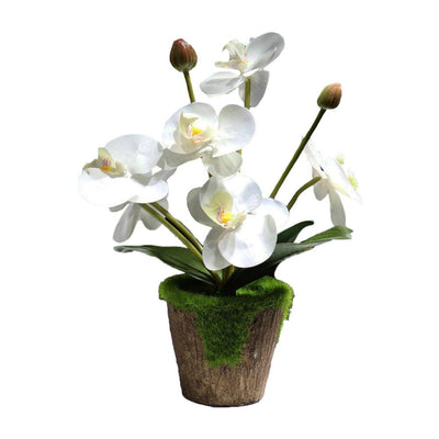 Cette image montre une orchidée artificielle de couleur blanche dans un pot
