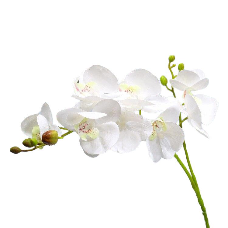 Cette image montre une tige d'orchidée artificielle haut de gamme de couleur blanche