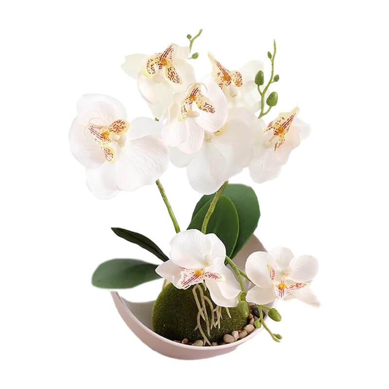 orchidée-artificielle-blanche