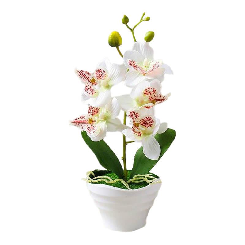 Cette image montre une orchidée artificielle blanche dans un pot. Cette fausse orchidée est pas cher.