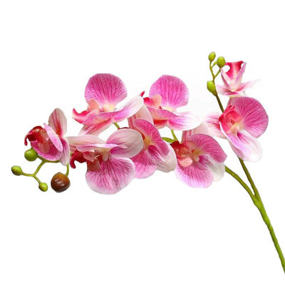 Cette image montre une tige d'orchidée artificielle haut de gamme de couleur rose