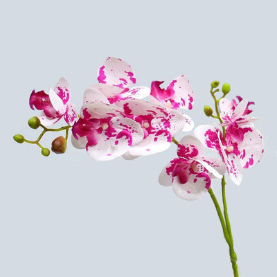 Cette image montre une tige d'orchidée artificielle haut de gamme de couleur violet et blanc