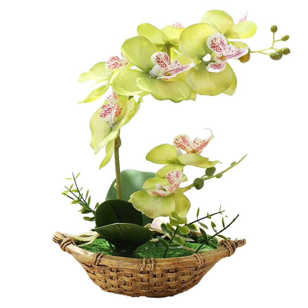 Cette image montre une orchidée artificielle verte dans un pot.