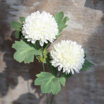 Cette image montre un bouquet de pissenlit artificiel de couleur blanc