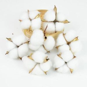 Boules de coton (10 boules)
