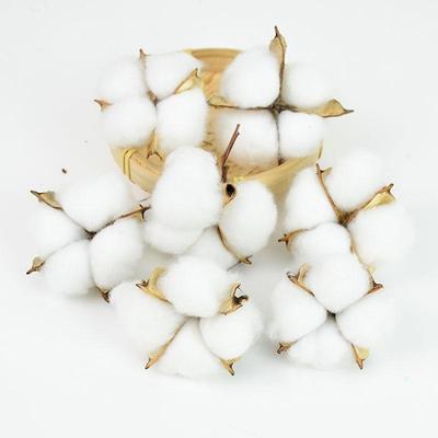 Boules de coton (10 boules)