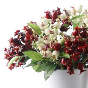 Baies pour décoration florale 4 couleurs