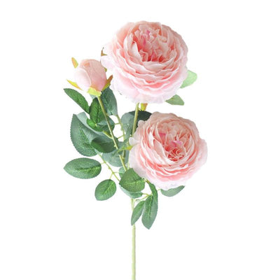 Pivoine Artificielle