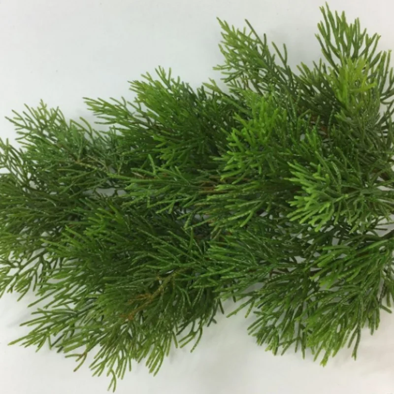 Plante artificielle extérieur - Branche de sapin