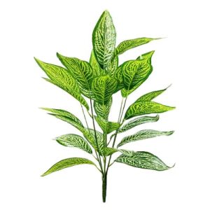 Plante tropicale tachetée verte 75 cm
