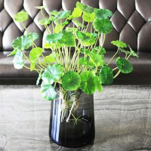 Plante verte artificielle - Petit arbuste design 37cm