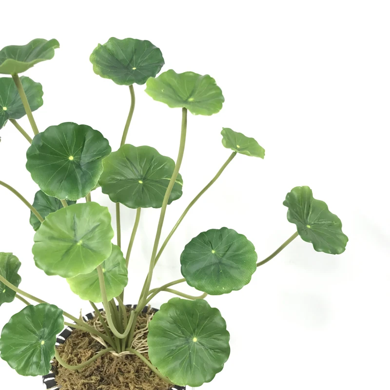 Plante verte artificielle - Petit arbuste design 37cm