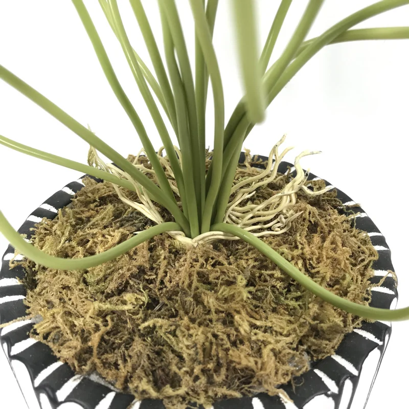 Plante verte artificielle - Petit arbuste design 37cm