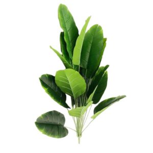 Feuilles de faux bananier 80 cm