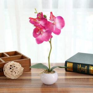 Fausse Orchidée en Pot