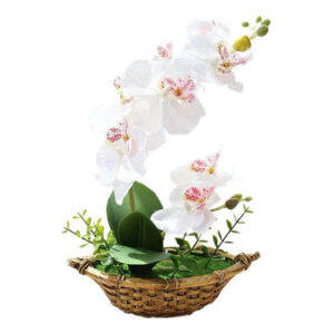 Orchidée artificielle blanche asiatique