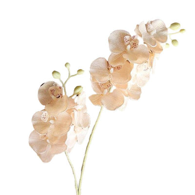 Orchidée artificielle champagne 65 cm
