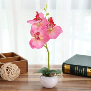 Orchidée Phalaenopsis Artificielle