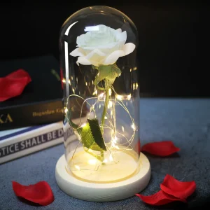 Rose éternelle sous cloche blanche
