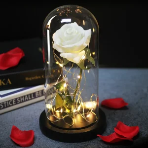 Rose eternelle blanche sous cloche