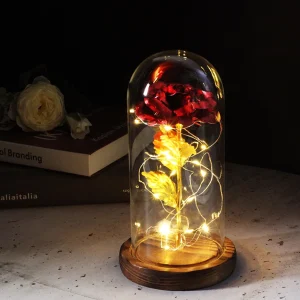 Rose éternelle bordeaux