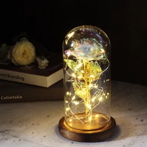 Rose éternelle galaxy