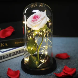 Rose eternelle rose pale sous cloche