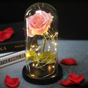 Rose eternelle rose sous cloche