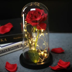 Rose eternelle rouge sous cloche