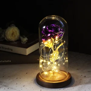 Rose éternelle violette