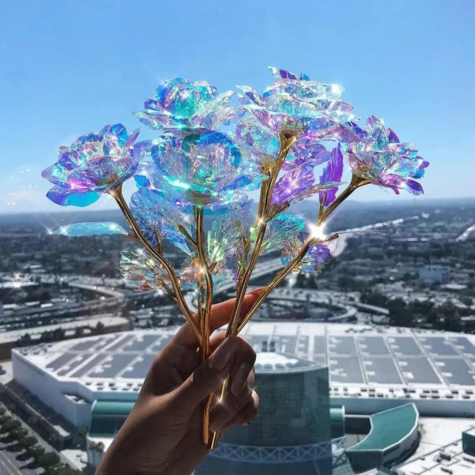 Rose galaxy