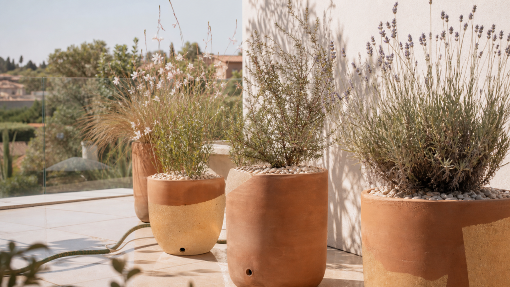 Plantes pour terrasse ensoleillée : lavande, romarin et gaura en pots plein sud